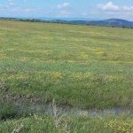 Agricultura în pericol