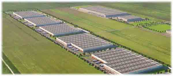 timis zona industriala