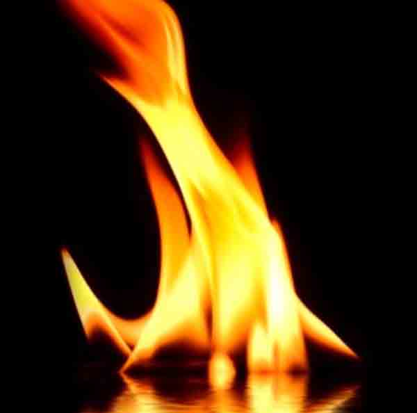 foc