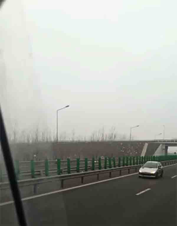 tanara pe contrasens pe a1