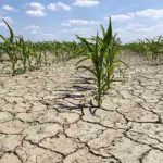 Proiect de Hotărâre privind acordarea unui sprijin financiar pentru fermierii afectați de secetă