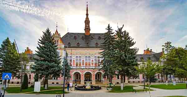consiliul judetean hunedoara