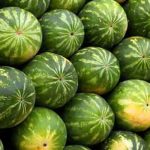 Pepenii care se vând în județul Arad sunt de import
